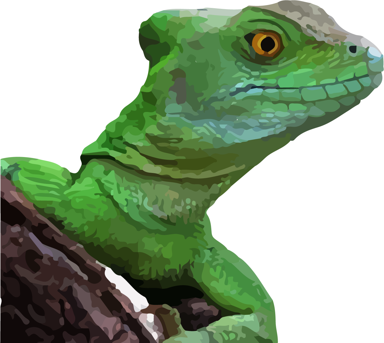 Basilisk C