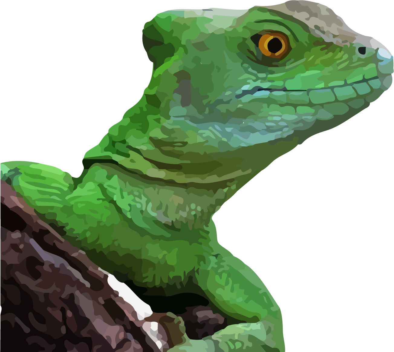 Basilisk C