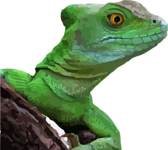 Basilisk C